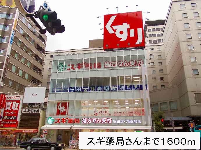 ドラッグストア