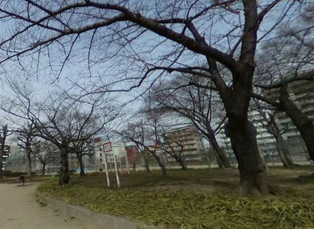 公園
