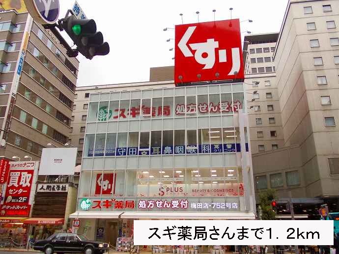 ドラッグストア